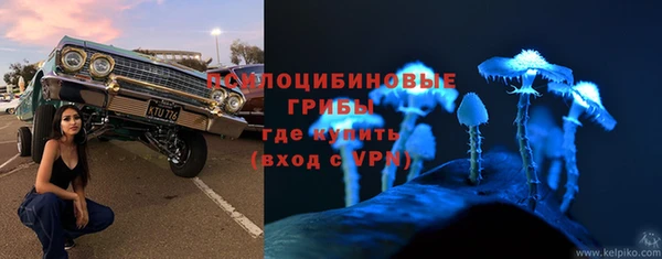 эйфоретик Балахна