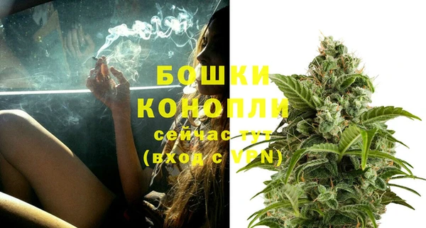 стафф Аркадак