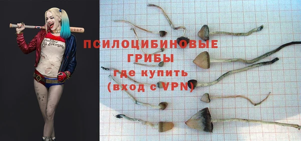 стафф Аркадак