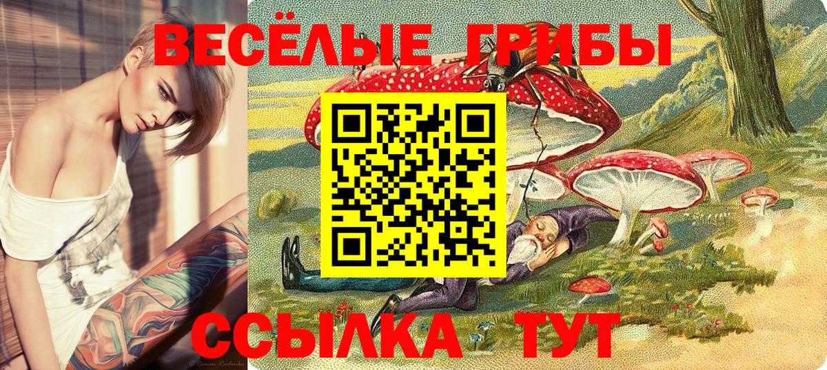 Псилоцибиновые грибы Psilocybe Георгиевск