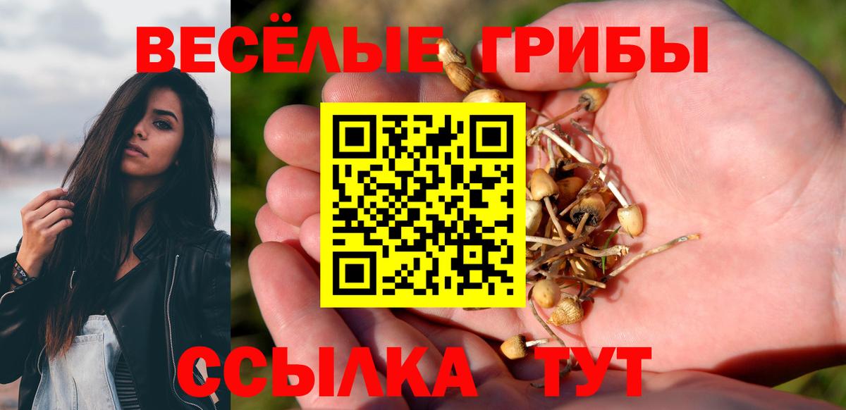 Галлюциногенные грибы ЛСД  Псилоцибиновые грибы Cubensis  Георгиевск 