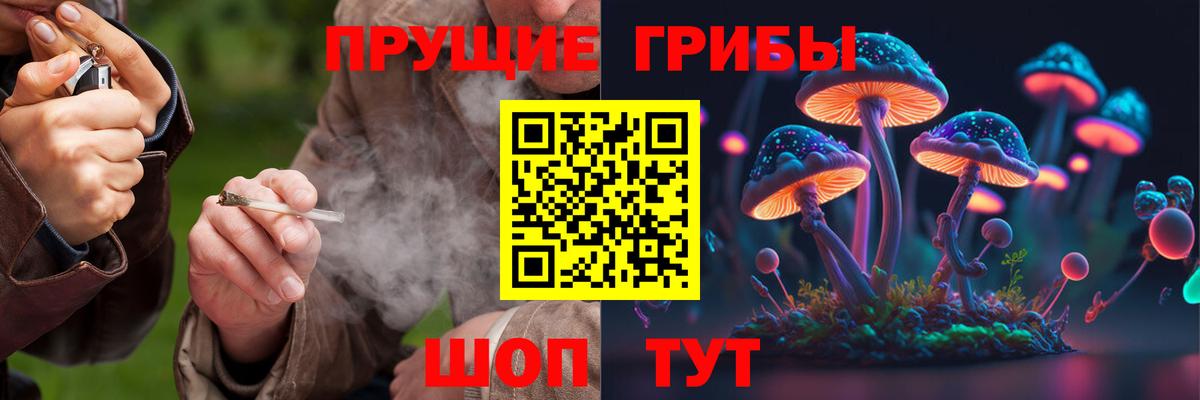 Галлюциногенные грибы GOLDEN TEACHER Георгиевск